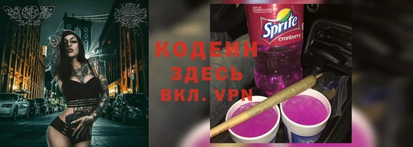 дурь Алексин