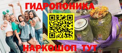 стаф Гатчина