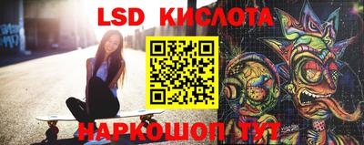 стаф Гатчина