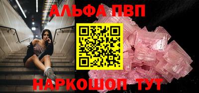 стаф Гатчина