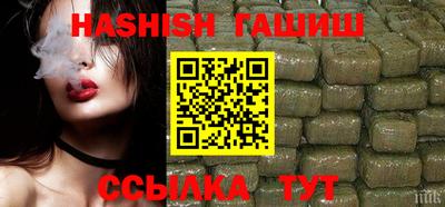 стаф Гатчина