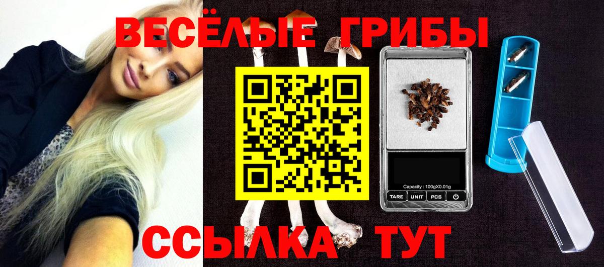 Псилоцибиновые грибы Psilocybine cubensis  Кропоткин 