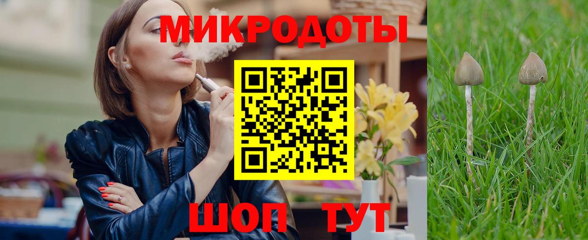 Галлюциногенные грибы прущие грибы Кропоткин