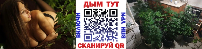 как найти закладки  маркетплейс телеграм  Бошки Шишки семена  Кропоткин 